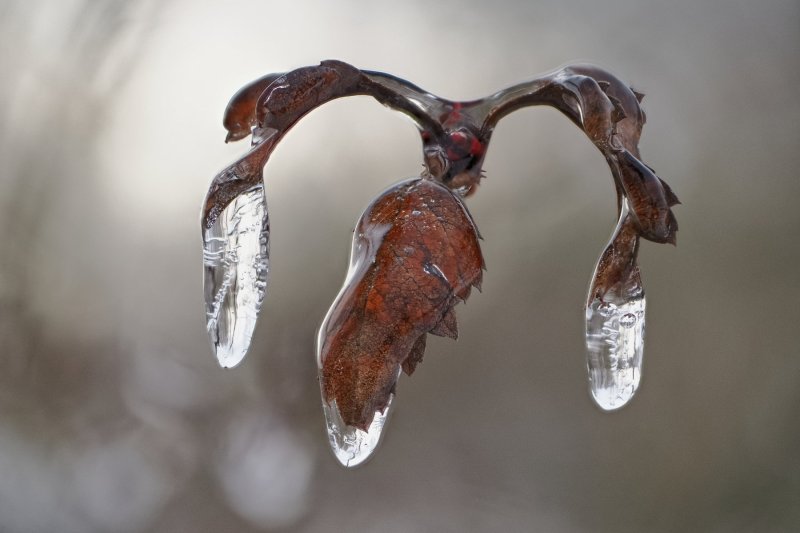Natur &raquo; winterliches